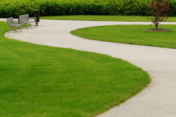 Cost of Concrete Walkway Installation in Mesquite
