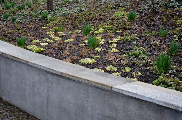 Cost of Concrete Wall Construction in Mesquite