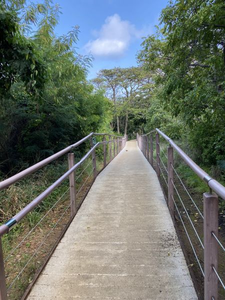 Cost of Footpath Construction in Mesquite