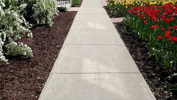 Cost of Cement Sidewalk Installation in Mesquite
