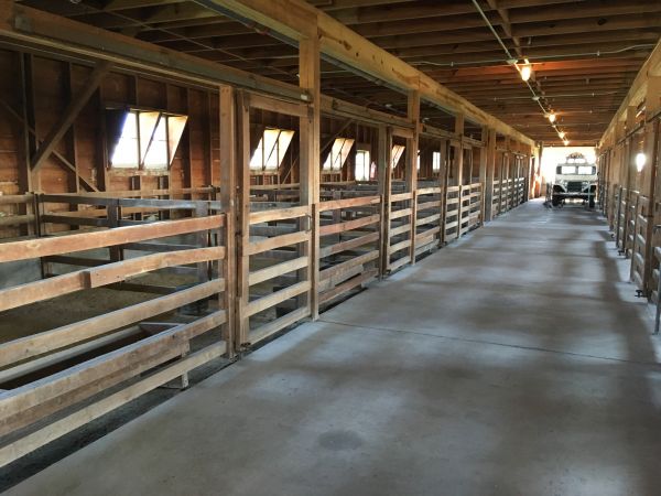 Cost of Barn Floor Pouring in Mesquite
