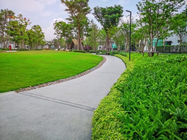 Cost of Cement Walkway Service in Mesquite