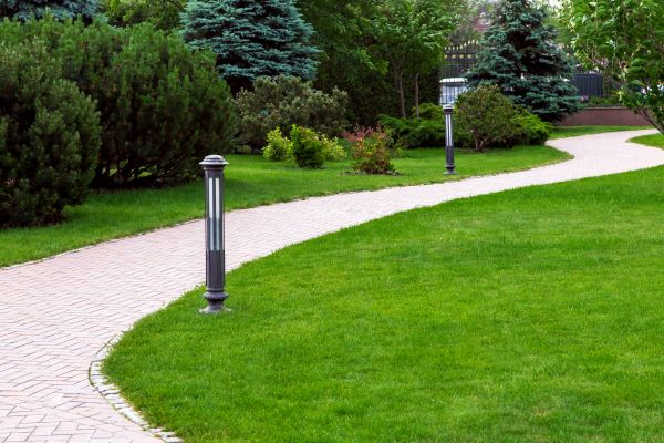 Cost of Backyard Sidewalk Installation in Mesquite