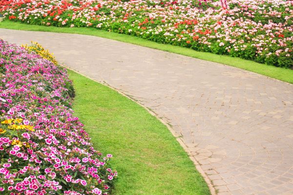 Cost of Concrete Walkway Service in Mesquite