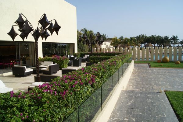 Cost of Patio Path Installation in Mesquite